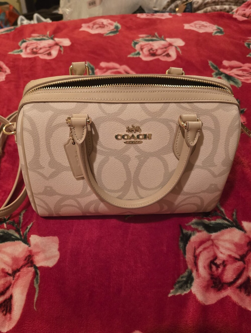 Coach Rowan Satchel In Sketch